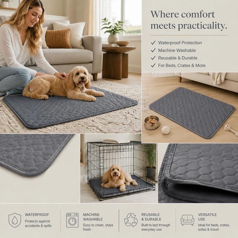 V1221-XM-CWD-006-00 2pcs Grey Pet Pad, Size M (60×45cm) - Image 1