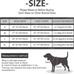 Dog Chest Harness, Adjustable Breathable Reflective Soft Vest Anti-Pull Night Strap - S - Image 2