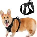 Dog Chest Harness, Adjustable Breathable Reflective Soft Vest Anti-Pull Night Strap - M