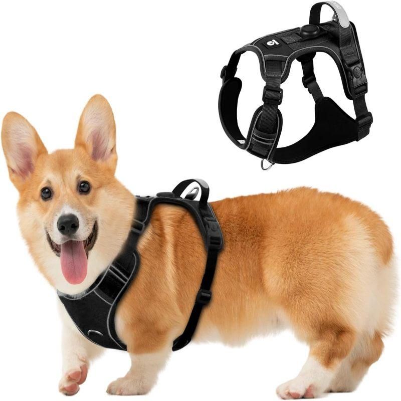 V1263-JX-7819-2-00 Dog Chest Harness, Adjustable Breathable Reflective Soft Vest Anti-Pull Night Strap - M - Image 1