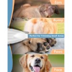 Dog Hair Clipper and Trimmer, Small Dog Wireless Beauty Kit, With Led Lights(White) - Image 6