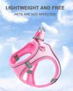Dog Harness Leash Set Reflective Soft Mesh No Pull Pet Vest Black - S - Image 2