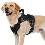 Dog Harness Large Dog No Pull Reflective Adjustable Pet Vest with Handle - Black XL