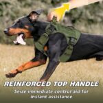 Dog Harness Large Dog No Pull Reflective Adjustable Pet Vest with Handle - Orange M - Image 3
