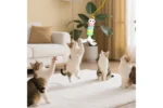 Electric Cat Yo-Yo Toy, Interactive Self Play Boredom Relief Automatic Pet Exercise Toy for Indoor Cats - Pink - Image 3