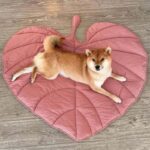 Ginkgo Leaf Shaped Pet Mat – Thickened Multi-Use Plush Blanket & Cushion for Cats and Dogs, All-Season Floor Bed, Crate Pad and Cozy Throw (Pink)