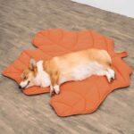 Leaf-Shaped Multi-Functional Pet Mat – Plush, Thick, and All-Season Comfort for Your Cat or Dog, Perfect as a Floor Pad, Crate Cushion, Sofa Protector, or Cozy Blanket (Orange) - Image 3