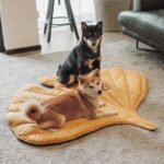 Cozy Leaf-Shaped Pet Mat for Dogs and Cats – Multi-Use Plush Sleeping Pad, Warm Blanket, and Crate Cover for All Seasons, Soft Pillowy Cushion Perfect for Resting, Napping, or Snuggling Anytime (Yellow) - Image 12
