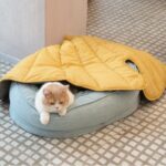 Stylish Leaf-Shaped Pet Mat, Ultra-Soft Plush Faux-Down Filled Dog & Cat Bed Topper, Cozy Foldable Crate Cushion for Year-Round Comfort, Machine Washable Floor Blanket (Green) - Image 12