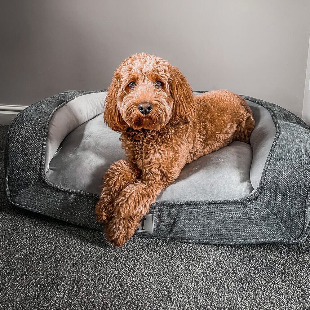 V1341-ZY-VP4G6H9L-GREY-00 Plush Orthopedic Pet Sofa Bed with Bolstered Edges – Ultra-Soft Sponge Filled Luxury Dog and Cat Couch, Waterproof Inner Liner & Removable Washable Cover for Medium-Sized Pets Up to 35kg (Grey) - Image 1