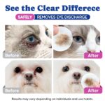 Dog Eye Wipes, Tear Stain Remover for All Dogs & Cats – Hypoallergenic & Deodorizing Eye Wipes for Dogs, Pet Eye Cleaner Wipes with Enzymes for Discharge, Crust, Mucus & Debris, Coconut (100 Ct) - Image 2