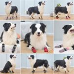 4PCS Dog Socks to Prevent Licking Paws for Hot/Cold Pavement | Puppy Boots & Paw Protectors for Hardwood Floors Anti Slip, Socks with Grippers Prevent Scratching for Senior Dog - Gray - Size S - Image 8