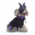 S Size Quartz Shadow Pet Costume, Fancy Dress for Halloween & Christmas, Lightweight for 2-3 kg Dogs and Cats