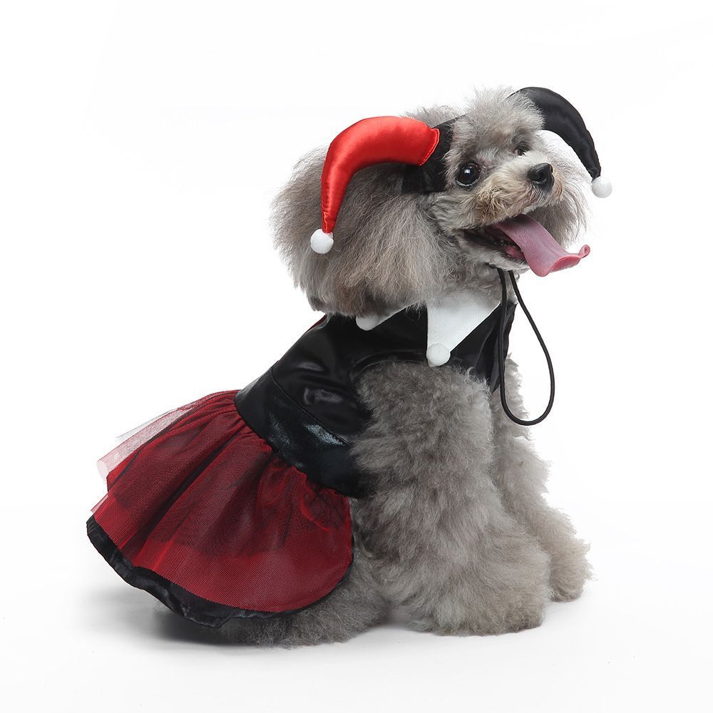 V1221-XM-LB4017-ZS95-00 L Size Ruby Spark Pet Costume, Fancy Dress for Halloween & Christmas, Lightweight for 5-6.5 kg Dogs and Cats - Image 1