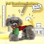 XL Size Valencia Sun Pet Costume, Fancy Dress for Halloween & Christmas, Lightweight for 7-10 kg Dogs and Cats - Image 9