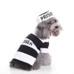 XL Size Wave Stripe Pet Costume, Fancy Dress for Halloween & Christmas, Lightweight for 7-10 kg Dogs and Cats