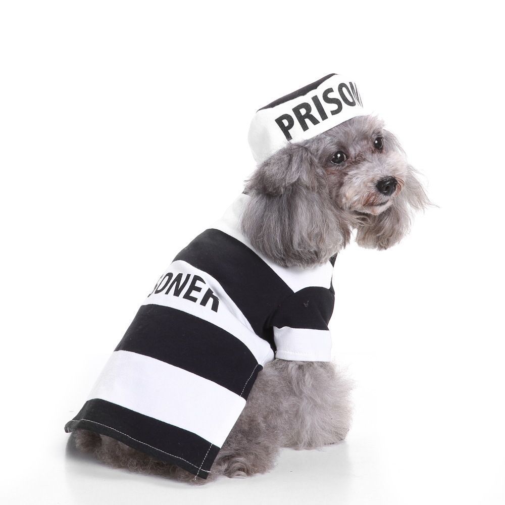 V1221-XM-LB4034-ZS95-00 M Size Wave Stripe Pet Costume, Fancy Dress for Halloween & Christmas, Lightweight for 3.5-4.5 kg Dogs and Cats - Image 1