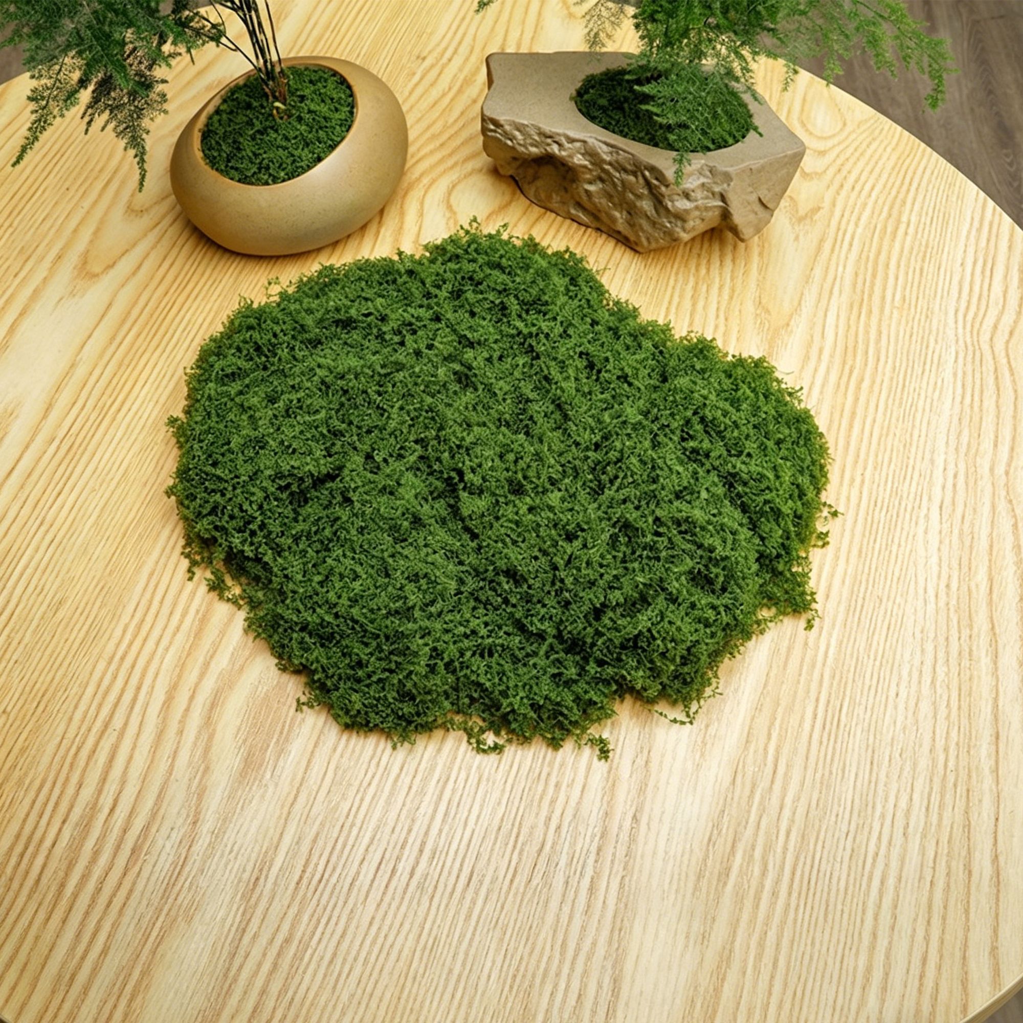 V1221-XM-LB4914-ZS130-00 diy artificial moss lawn-Dark Green Filamentous Moss 30g - Image 1