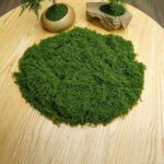 diy artificial moss lawn-Dark Green Filamentous Moss 50g