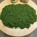 diy artificial moss lawn-Dark Green Filamentous Moss 100g