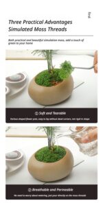 diy artificial moss lawn-Dark Green Filamentous Moss 1000g (Bulk) - Image 4
