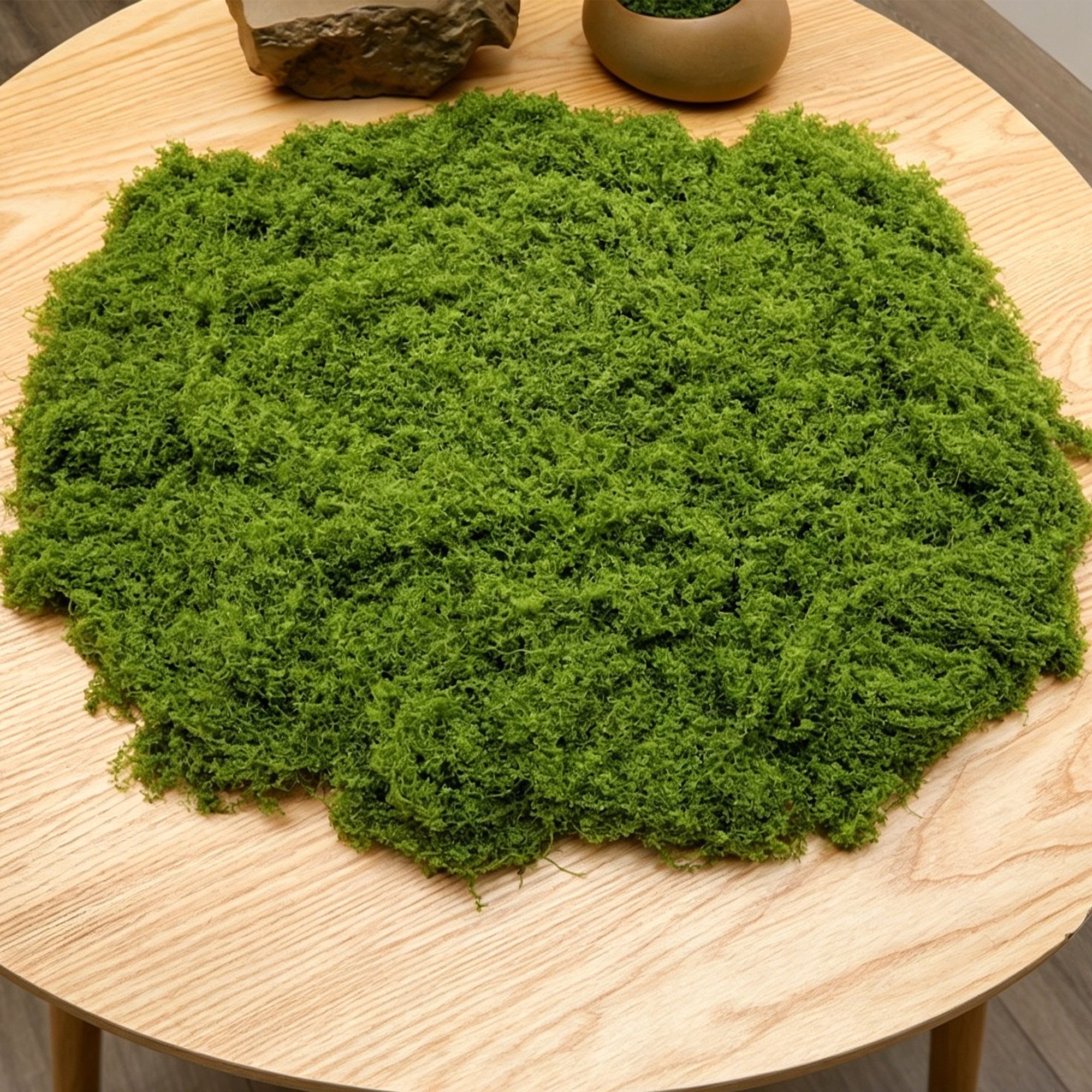 V1221-XM-LB4923-ZS130-00 diy artificial moss lawn-Light Green Filamentous Moss 100g - Image 1