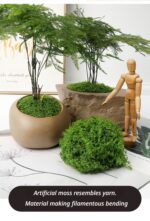 diy artificial moss lawn-Light Green Filamentous Moss 100g - Image 3