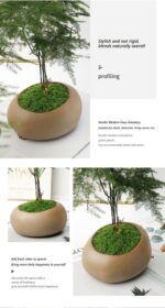 diy artificial moss lawn-Light Green Filamentous Moss 100g - Image 9
