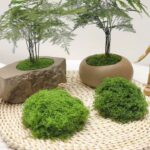 diy artificial moss lawn-Light Green Filamentous Moss 200g