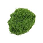 diy artificial moss lawn-Light Green Filamentous Moss 500g (Bulk)
