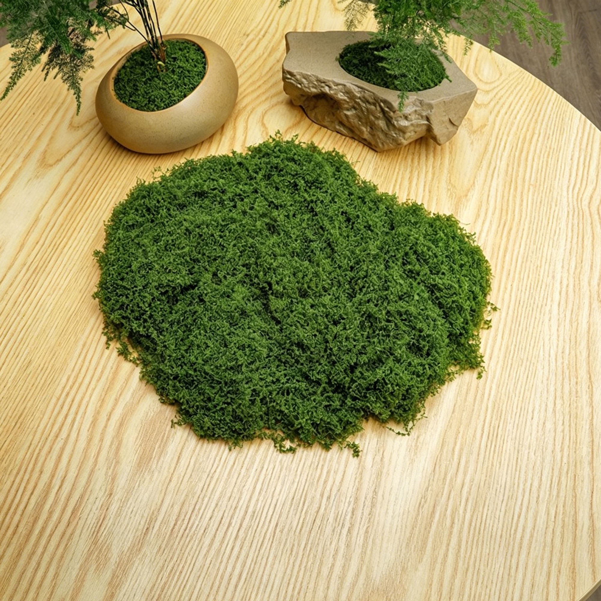 V1221-XM-LB4929-ZS130-00 diy artificial moss lawn-Dark Green Filamentous Moss 20g - Image 1