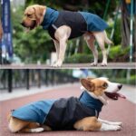 Dog Rain Coat, Waterproof Wind‑Proof Winter Dog Jacket with Reflective Stripes, for Small & Medium Dogs, Blue‑Black, Size XXL - Image 3
