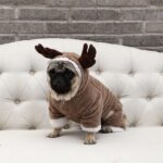 Odd Pet Dog Winter Coat Elk Four Legged Clothes Elk four-legged clothes XS