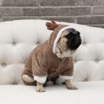 Odd Pet Dog Winter Coat Elk Four Legged Clothes Elk four-legged clothes XS - Image 4