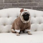Odd Pet Dog Winter Coat Elk Four Legged Clothes Elk four-legged clothes XS - Image 5