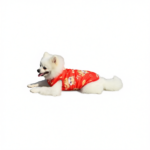 Winter Dog Vest Polyester Fleece Lined Cartoon Print Get rich [plus velvet and thickening] Xs bust 30cm, back length 20cm [recommended 0.5-1.0kg ]