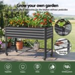 Green Fingers Mobile Raised Garden Bed With Wheels Storage Shelf 81cm Height for Vegetables Herb Charcoal - Image 7