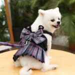 Dog Harness Skirt Traction Polyester 273 Vest Traction Wine Red XXL (chest circumference 58 back length 40cm) - Image 6