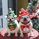 Weiwang Cartoon Pet Hat Christmas Deer Antlers White hat antlers L (good for 4.00 kg-7.50 kg pets) - Image 6