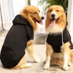 Shining Pet Sweatshirt Polyester Zipper Pocket Big Dog Zipper Pocket Sweatshirt Ginger L (bust 47CM about 4.00 kg-5.50 kg pets) - Image 6