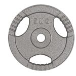 5kg Standard Size Cast Iron Weight Plate with Grip