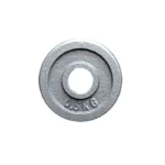0.5kg Standard Size Cast Iron Weight Plate